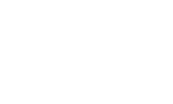 Logo de Floskin